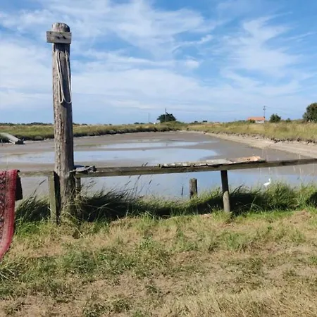 Avec Terrasse Pour 5 A - Api-1-52-687 * Saint-Georges-d'Oleron