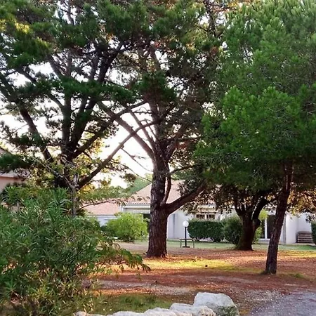Camping Avec Terrasse Pour 5 A - Api-1-52-687 *